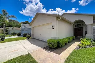 1017 Sweet Jasmine Dr, Trinity, FL 34655 - Photo 3
