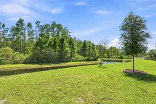 17254 Mango Shay Ct, Land O Lakes, FL 34638 - Photo 49