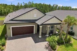 17254 Mango Shay Ct, Land O Lakes, FL 34638 - Photo 87