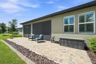 17254 Mango Shay Ct, Land O Lakes, FL 34638 - Photo 47