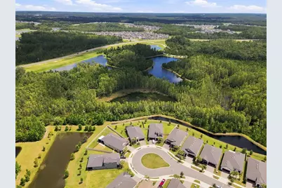 17254 Mango Shay Court, Land O Lakes, FL 34638 - Photo 53