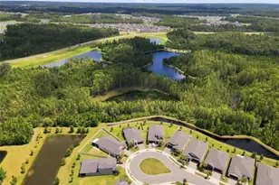 17254 Mango Shay Ct, Land O Lakes, FL 34638 - Photo 53