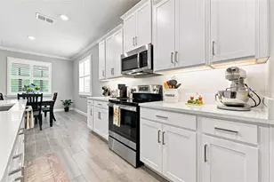 17254 Mango Shay Ct, Land O Lakes, FL 34638 - Photo 21