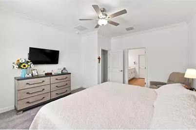 17254 Mango Shay Court, Land O Lakes, FL 34638 - Photo 29