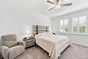 17254 Mango Shay Ct, Land O Lakes, FL 34638 - Photo 27