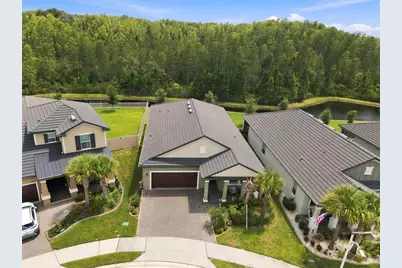 17254 Mango Shay Court, Land O Lakes, FL 34638 - Photo 3