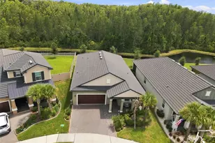 17254 Mango Shay Ct, Land O Lakes, FL 34638 - Photo 3