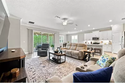 17254 Mango Shay Court, Land O Lakes, FL 34638 - Photo 13