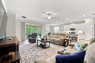 17254 Mango Shay Ct, Land O Lakes, FL 34638 - Photo 13