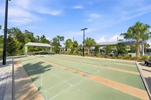 17254 Mango Shay Ct, Land O Lakes, FL 34638 - Photo 81
