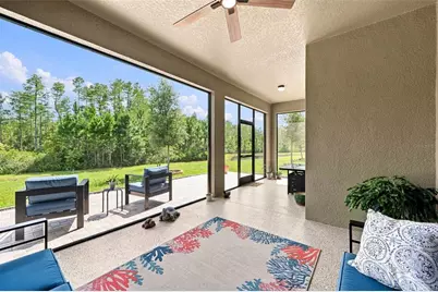 17254 Mango Shay Court, Land O Lakes, FL 34638 - Photo 45