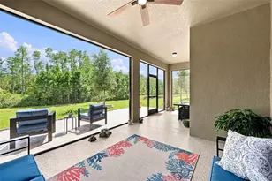 17254 Mango Shay Ct, Land O Lakes, FL 34638 - Photo 45