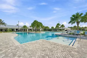 17254 Mango Shay Ct, Land O Lakes, FL 34638 - Photo 77