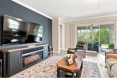 17254 Mango Shay Court, Land O Lakes, FL 34638 - Photo 11
