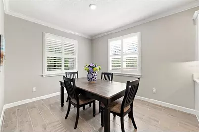 17254 Mango Shay Court, Land O Lakes, FL 34638 - Photo 23