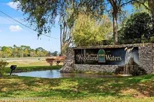 11200 Woodland Waters Blvd, Weeki Wachee, FL 34613 - Photo 43