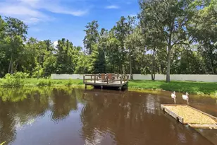 22259 Skyview Cir, Brooksville, FL 34602 - Photo 79