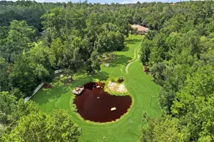 22259 Skyview Cir, Brooksville, FL 34602 - Photo 65