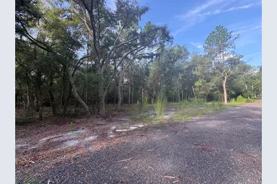 N Preston Road Road, Brooksville, FL 34601 - Photo 7