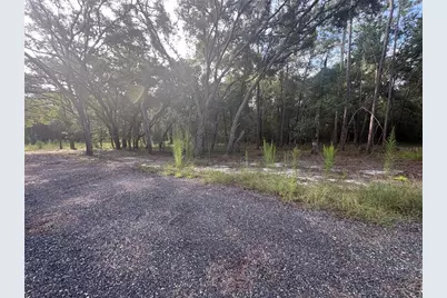 N Preston Road Road, Brooksville, FL 34601 - Photo 5