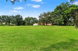20319 Painter Pl, Spring Hill, FL 34610 - Photo 5