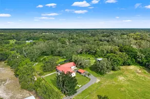 20319 Painter Pl, Spring Hill, FL 34610 - Photo 53