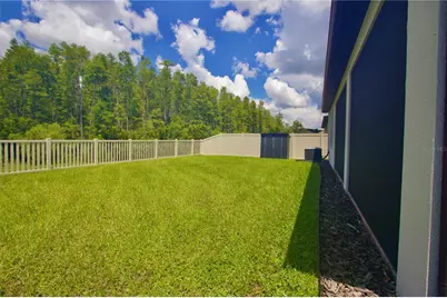 9723 Coneflower Court, Land O Lakes, FL 34637 - Photo 5
