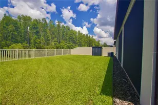 9723 Coneflower Ct, Land O Lakes, FL 34637 - Photo 5