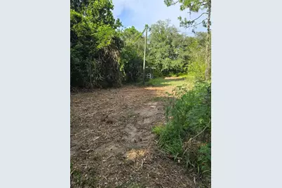 650 NE 138 Avenue, Williston, FL 32696 - Photo 3
