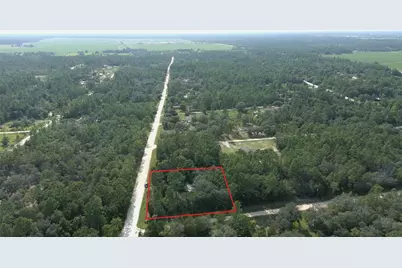 650 NE 138 Avenue, Williston, FL 32696 - Photo 9
