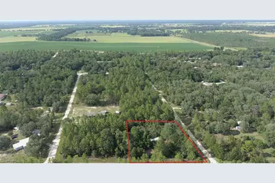 650 NE 138 Avenue, Williston, FL 32696 - Photo 7