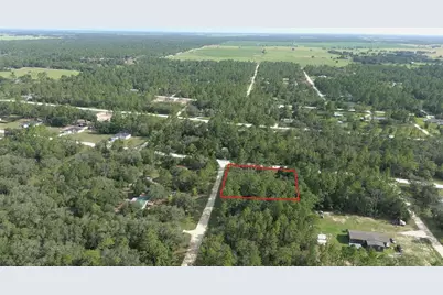 650 NE 138 Avenue, Williston, FL 32696 - Photo 11