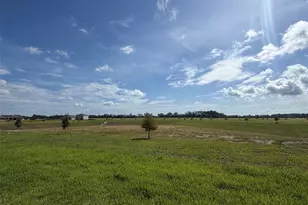 18716 Highland Dew St, Spring Hill, FL 34610 - Photo 15