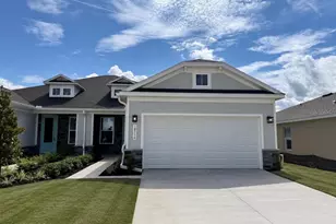 18716 Highland Dew St, Spring Hill, FL 34610 - Photo 1