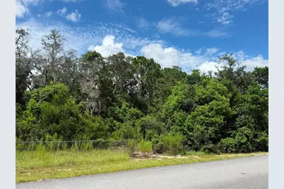 12365 Barrow Street, Spring Hill, FL 34609 - Photo 3