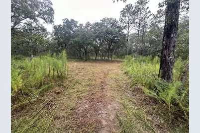 10361 Thrasher Avenue, Weeki Wachee, FL 34614 - Photo 39