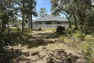 10361 Thrasher Ave, Weeki Wachee, FL 34614 - Photo 41