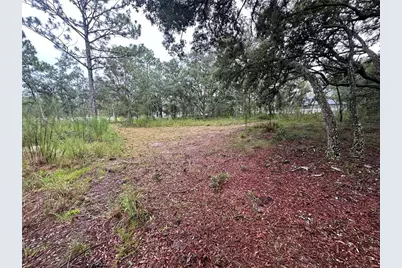 10361 Thrasher Avenue, Weeki Wachee, FL 34614 - Photo 37