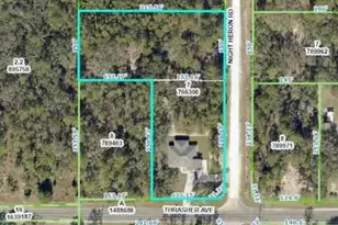10361 Thrasher Ave, Weeki Wachee, FL 34614 - Photo 35