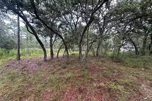 10361 Thrasher Ave, Weeki Wachee, FL 34614 - Photo 37