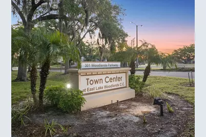121 Lindsay Lane #31, Oldsmar, FL 34677 - Photo 59