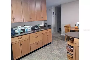 11301 Huggins St, Leesburg, FL 34788 - Photo 5