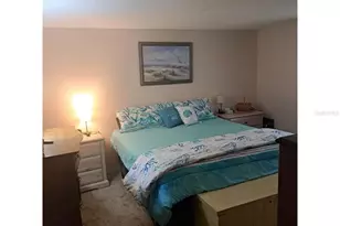 11301 Huggins St, Leesburg, FL 34788 - Photo 13