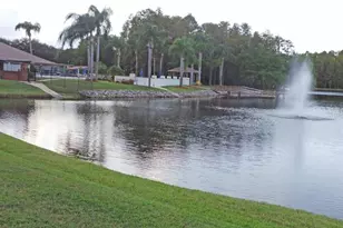 4911 Cathedral Ct, New Port Richey, FL 34655 - Photo 39