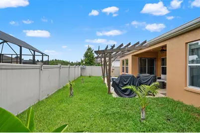 1723 Whitewillow Drive, Wesley Chapel, FL 33543 - Photo 61