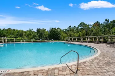 1723 Whitewillow Drive, Wesley Chapel, FL 33543 - Photo 73