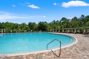 1723 Whitewillow Dr, Wesley Chapel, FL 33543 - Photo 73