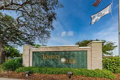 1234 Arlinbrook Drive, Trinity, FL 34655 - Photo 59