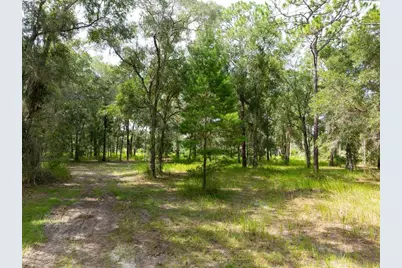 15265 Hebron Church Road, Brooksville, FL 34614 - Photo 11