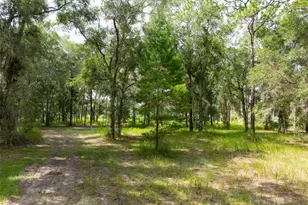 15265 Hebron Church Rd, Brooksville, FL 34614 - Photo 11